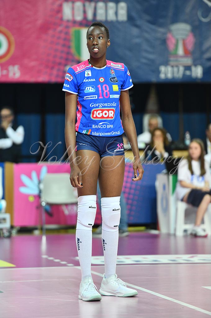 Igor NO-Il Bisonte FI (15)